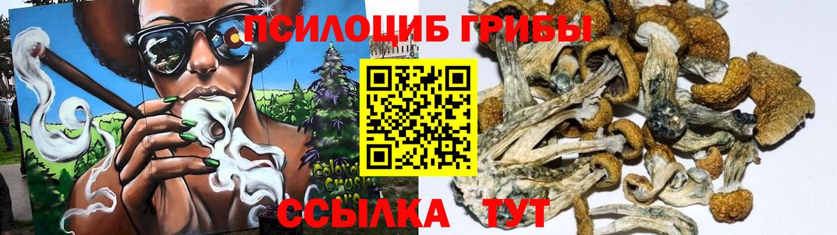 Псилоцибиновые грибы прущие грибы  Вход с VPN  Калининград  Галлюциногенные грибы MAGIC MUSHROOMS 